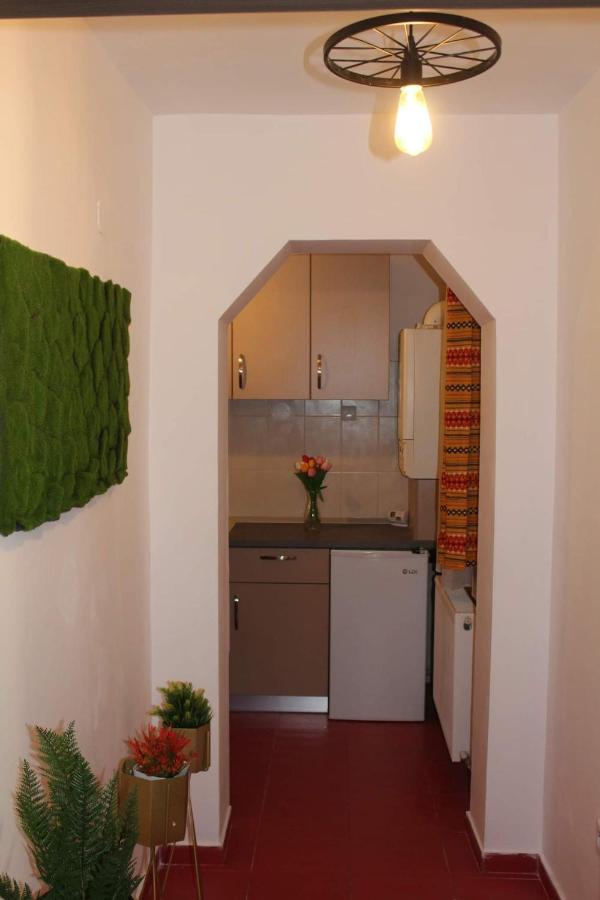 Apartament Dania & Petru Apartment Tirgu Ocna Exterior photo