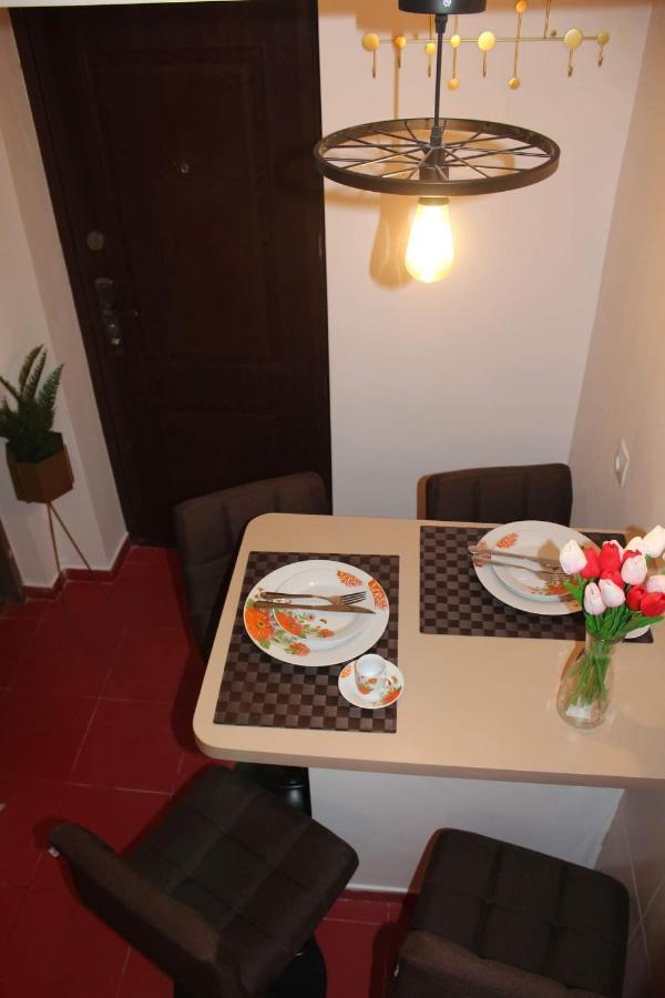 Apartament Dania & Petru Apartment Tirgu Ocna Exterior photo