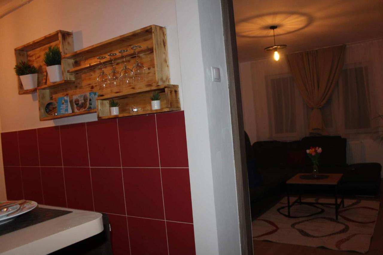 Apartament Dania & Petru Apartment Tirgu Ocna Exterior photo